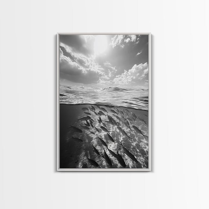 Underwater Scene, School of Fish, Ocean Photography, Split Shot Water, Framed Canvas Print, Bathroom Wall Art, Coastal Decor