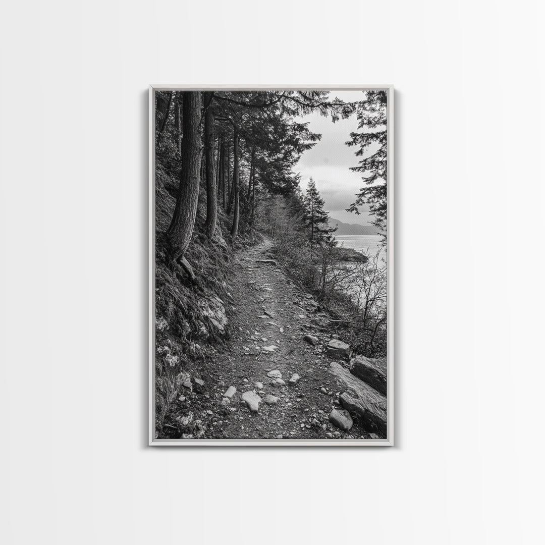 Forest Pathway Trail, Wilderness Escape, Rustic Nature, Black and White Framed Canvas Print, Cozy Cabin or Entryway Wall Art