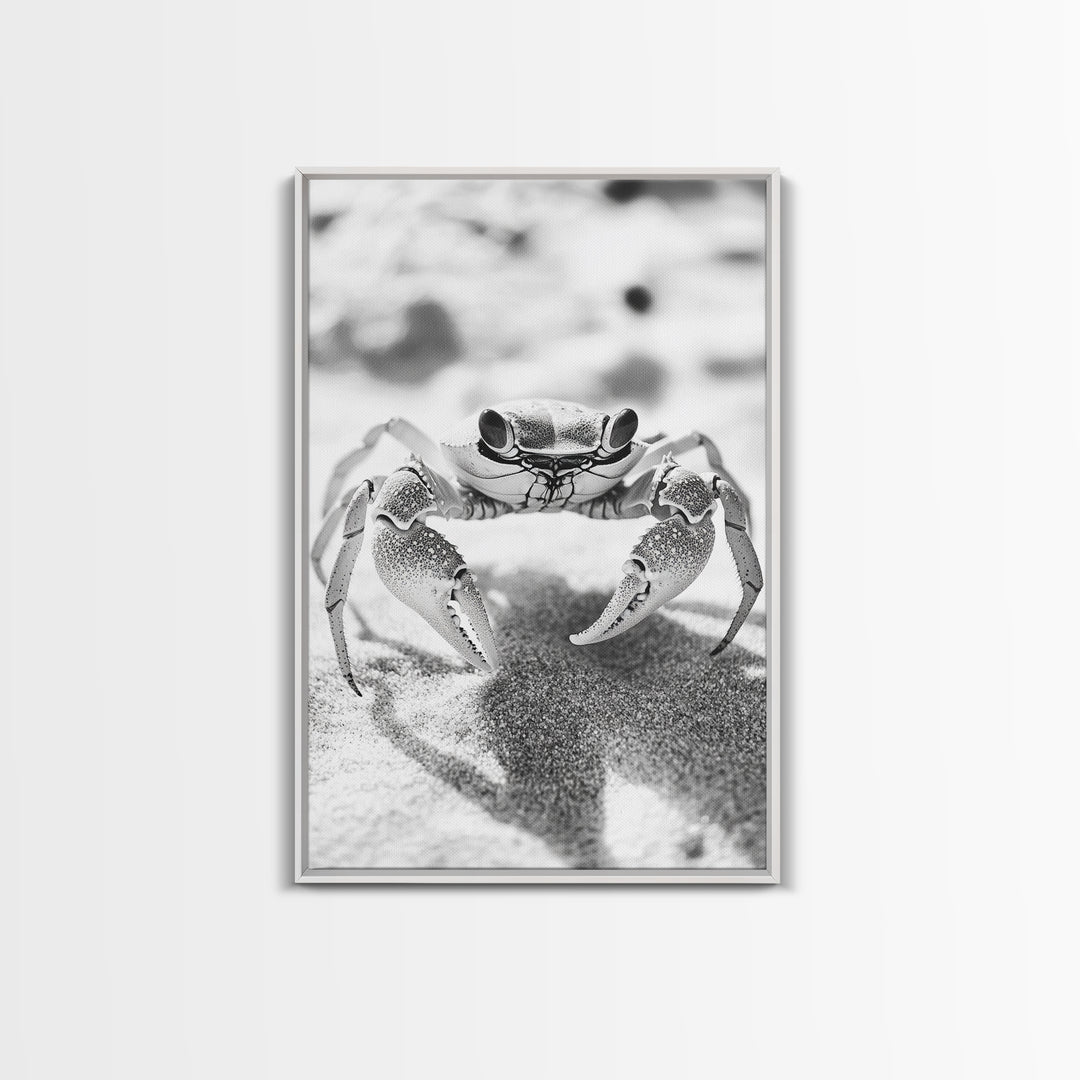 Sand Crab, Beach Macro, Ocean Critter Art, Framed Canvas Print, Coastal Bathroom Decor, Beach House Wall Art, Nature Close-Up