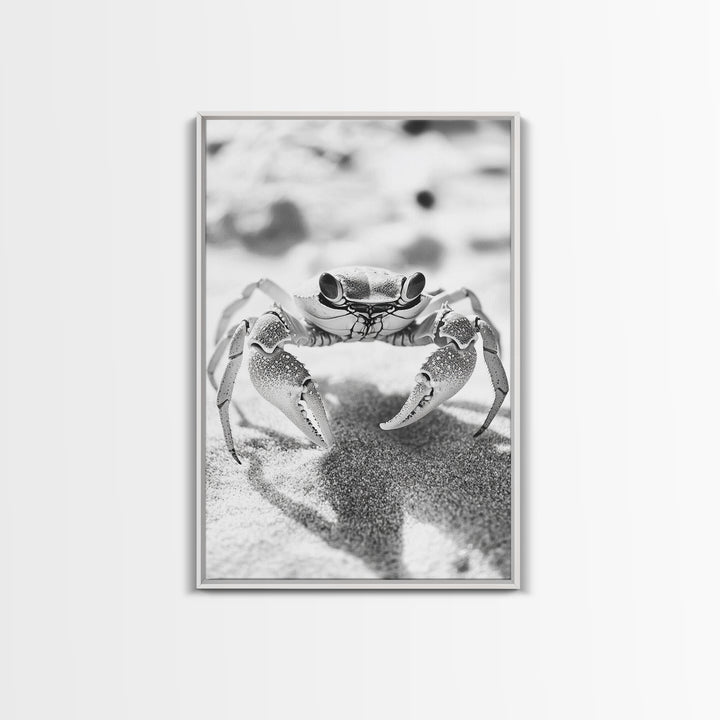 Sand Crab, Beach Macro, Ocean Critter Art, Framed Canvas Print, Coastal Bathroom Decor, Beach House Wall Art, Nature Close-Up