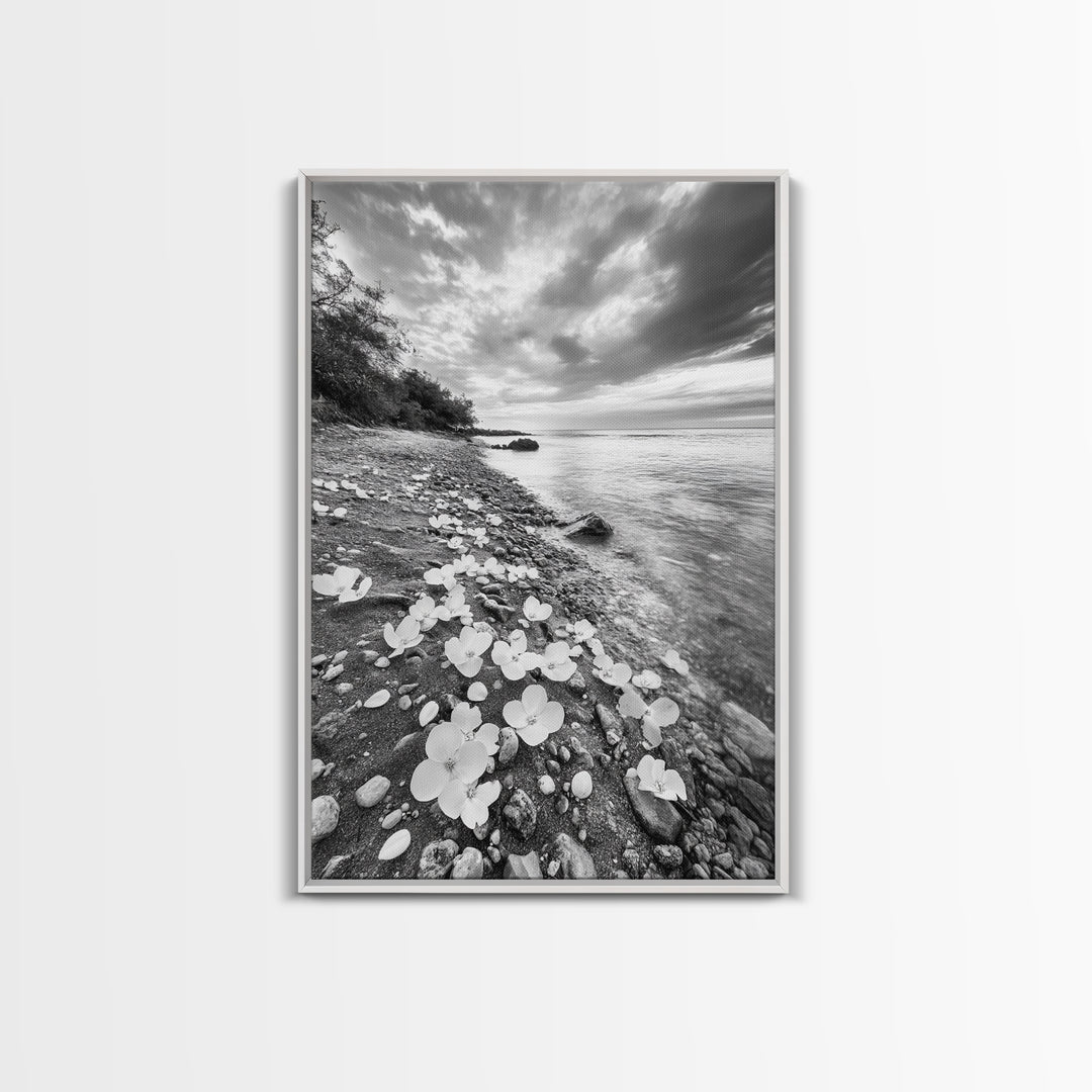 Flower Shore, Peaceful Beach, Moody Sky, Petal Scape, Framed Canvas Print, romantic beach art, bedroom decor, black and white floral print
