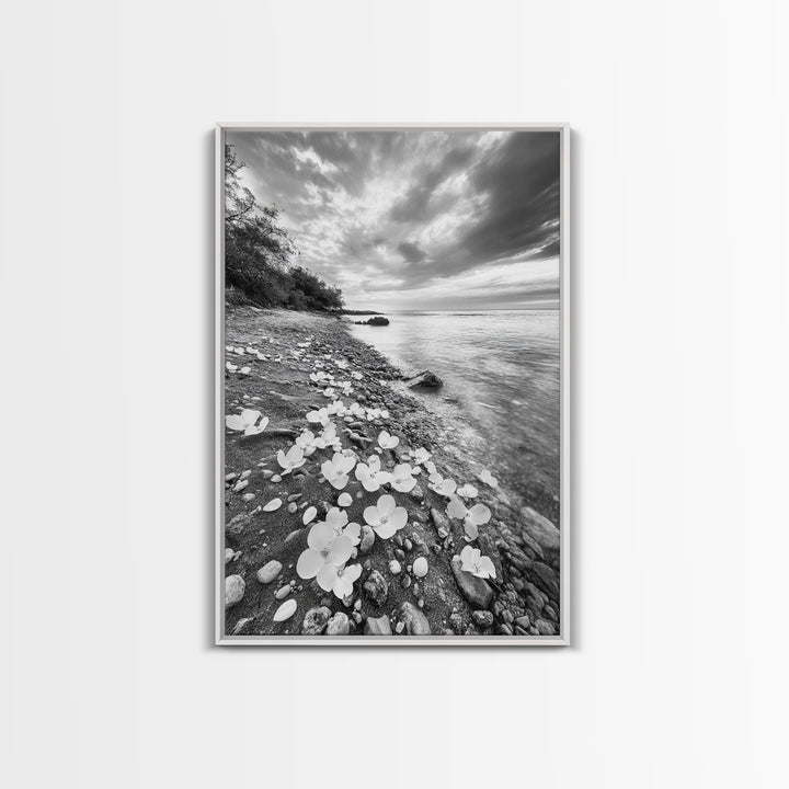 Flower Shore, Peaceful Beach, Moody Sky, Petal Scape, Framed Canvas Print, romantic beach art, bedroom decor, black and white floral print