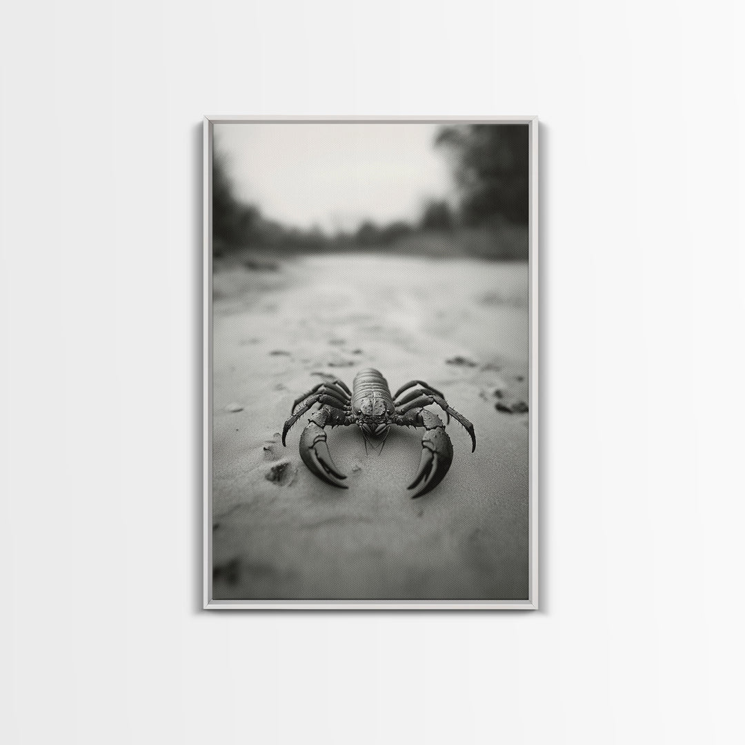 Desert Scorpion, Moody Wildlife, Sandy Ground, Focused Predator, Framed Canvas Print, edgy boho decor, masculine wall art, nature closeup
