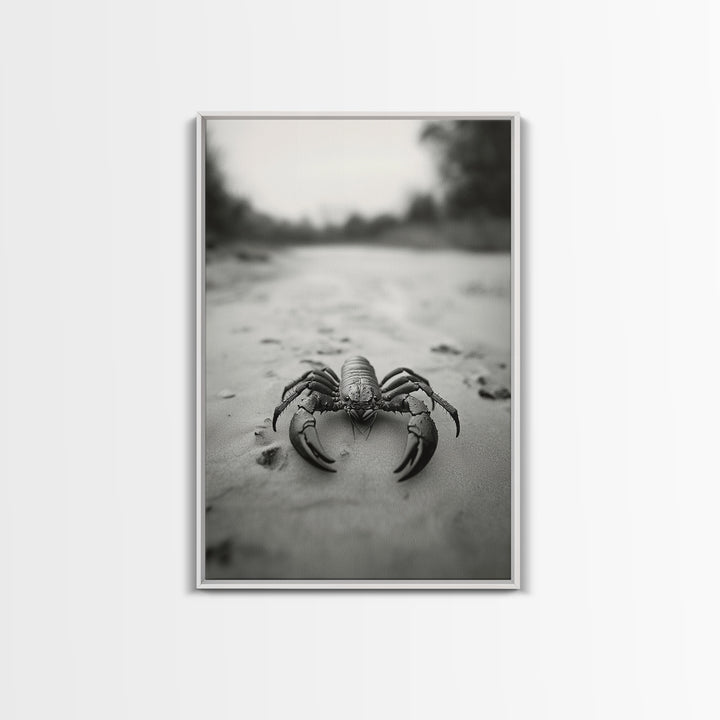 Desert Scorpion, Moody Wildlife, Sandy Ground, Focused Predator, Framed Canvas Print, edgy boho decor, masculine wall art, nature closeup