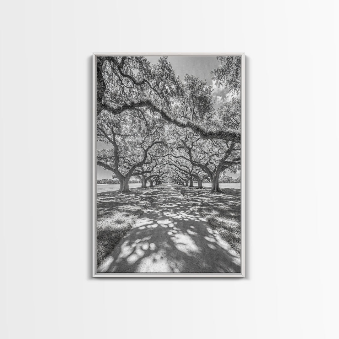Oak Tree Tunnel, Southern Charm, Shaded Pathway, Timeless Trees Framed Canvas Print, farmhouse wall decor, hallway landscape art