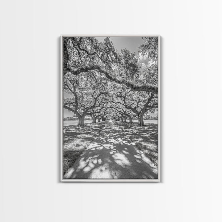 Oak Tree Tunnel, Southern Charm, Shaded Pathway, Timeless Trees Framed Canvas Print, farmhouse wall decor, hallway landscape art
