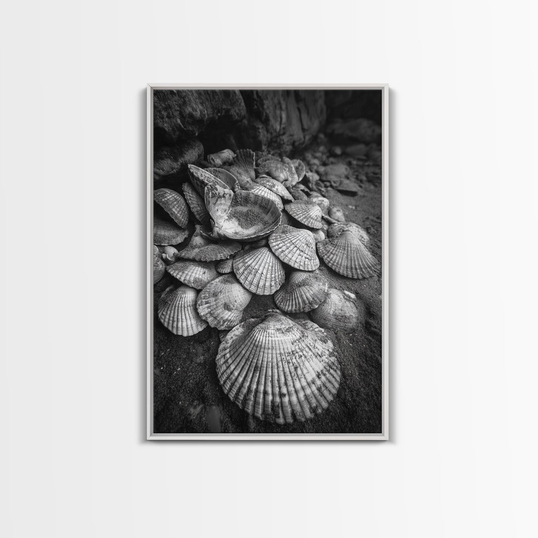 Seashell Pile, Textured Beach, Coastal Treasures, Natural Beauty Framed Canvas Print, bathroom decor, shell art, beach wall style
