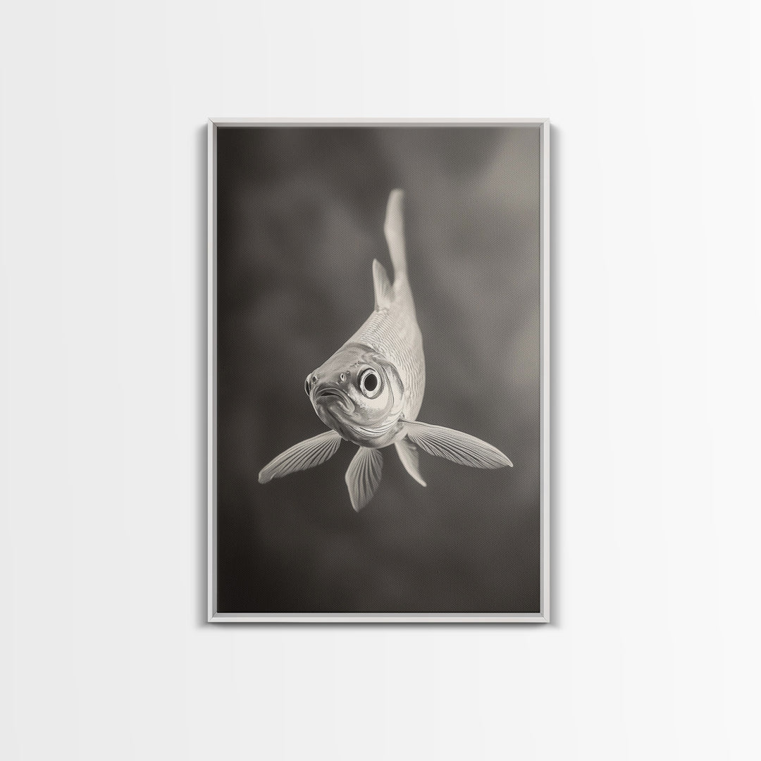 Curious Fish, Underwater Focus, Moody Marine Life, Framed Canvas Print, Bathroom Wall Art, Black and White Ocean Wildlife Decor