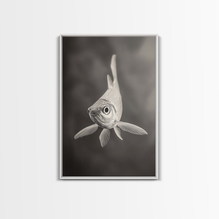 Curious Fish, Underwater Focus, Moody Marine Life, Framed Canvas Print, Bathroom Wall Art, Black and White Ocean Wildlife Decor