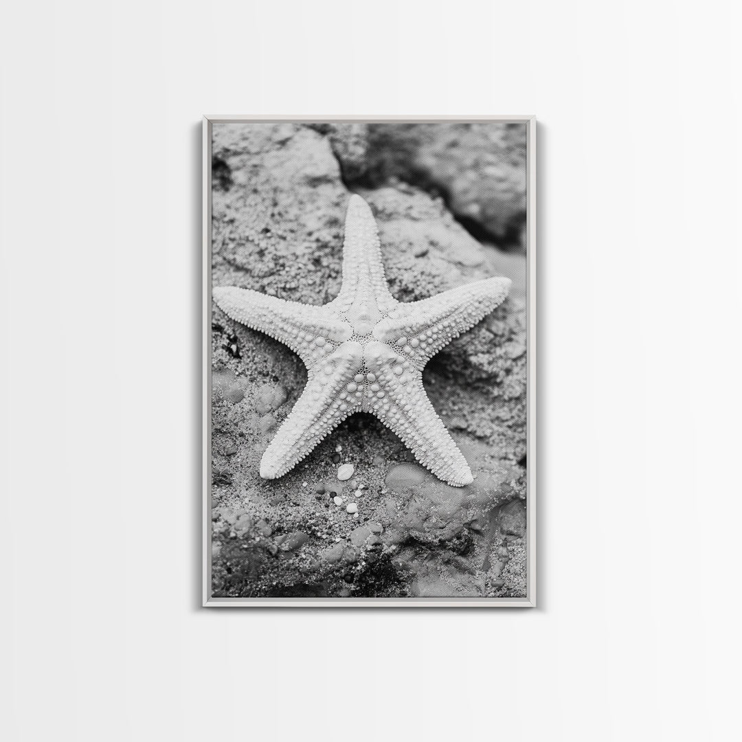 Starfish Closeup, Coastal Shell, Beach Texture, Framed Canvas Print, Bathroom or Ocean Nursery Decor, Minimal Beach Art