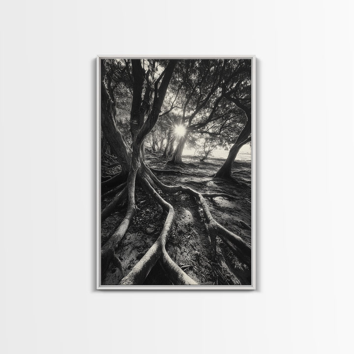 Sunlit Forest Roots, Tree Shadows, Golden Light, Framed Canvas Print, Boho Nature Wall Art, Bedroom Wall Decor, Earthy Tones
