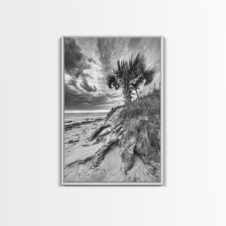 Palm Tree Beach, Coastal Dunes, Dramatic Sky, Framed Canvas Print, Tropical Wall Art, Boho Living Room Decor, Beach House Art
