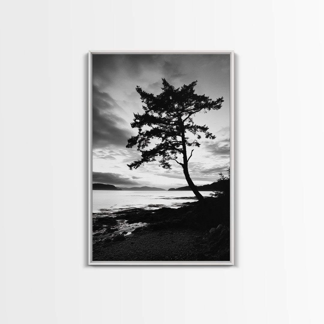 Coastal Tree, Pacific Northwest, Serene Landscape, Monochrome Nature Scene, Framed Canvas Print, Entryway Art, Rustic Cabin Wall Decor