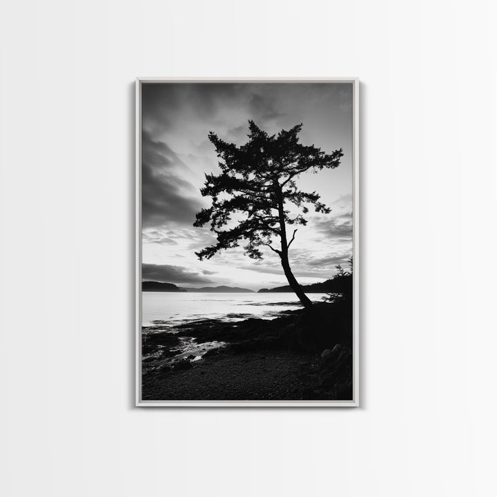 Coastal Tree, Pacific Northwest, Serene Landscape, Monochrome Nature Scene, Framed Canvas Print, Entryway Art, Rustic Cabin Wall Decor