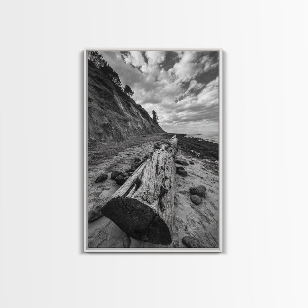 Driftwood Coastal Trail, Cliffside Path Nature Art, Rustic Cabin Style, Black White Photography, Framed Canvas Print, Hallway Wall Decor