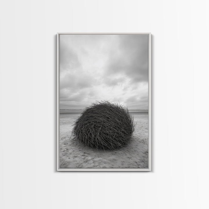 Windswept Beach Nest, Natural Sculpture, Driftwood Ball, Solitude Scene, Canvas Print, Minimalist Wall Art, Neutral Bedroom Decor
