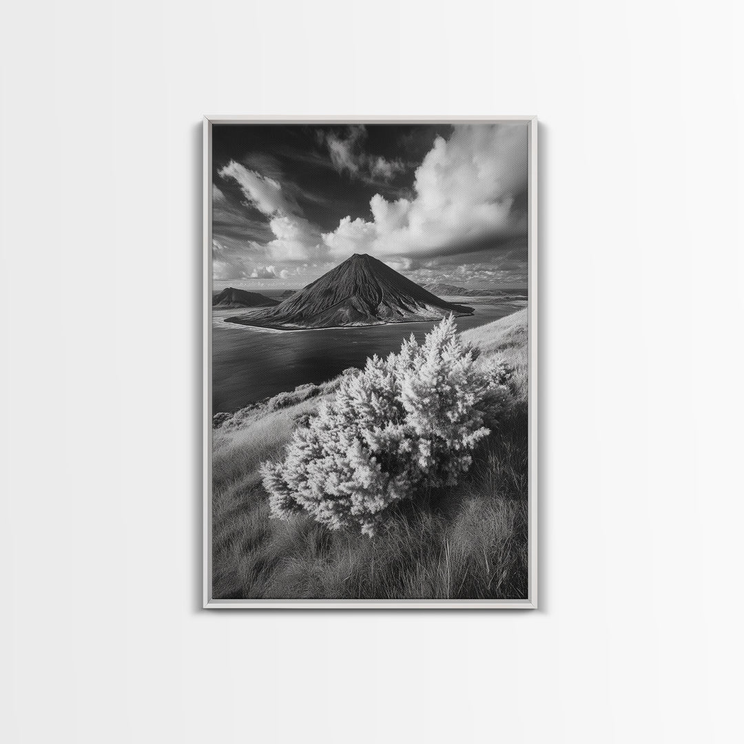 Majestic Volcano, Wild Grass, Black and White, Framed Canvas Print, Nature Photography, Office Decor, Moody Art, Rustic Wall Art