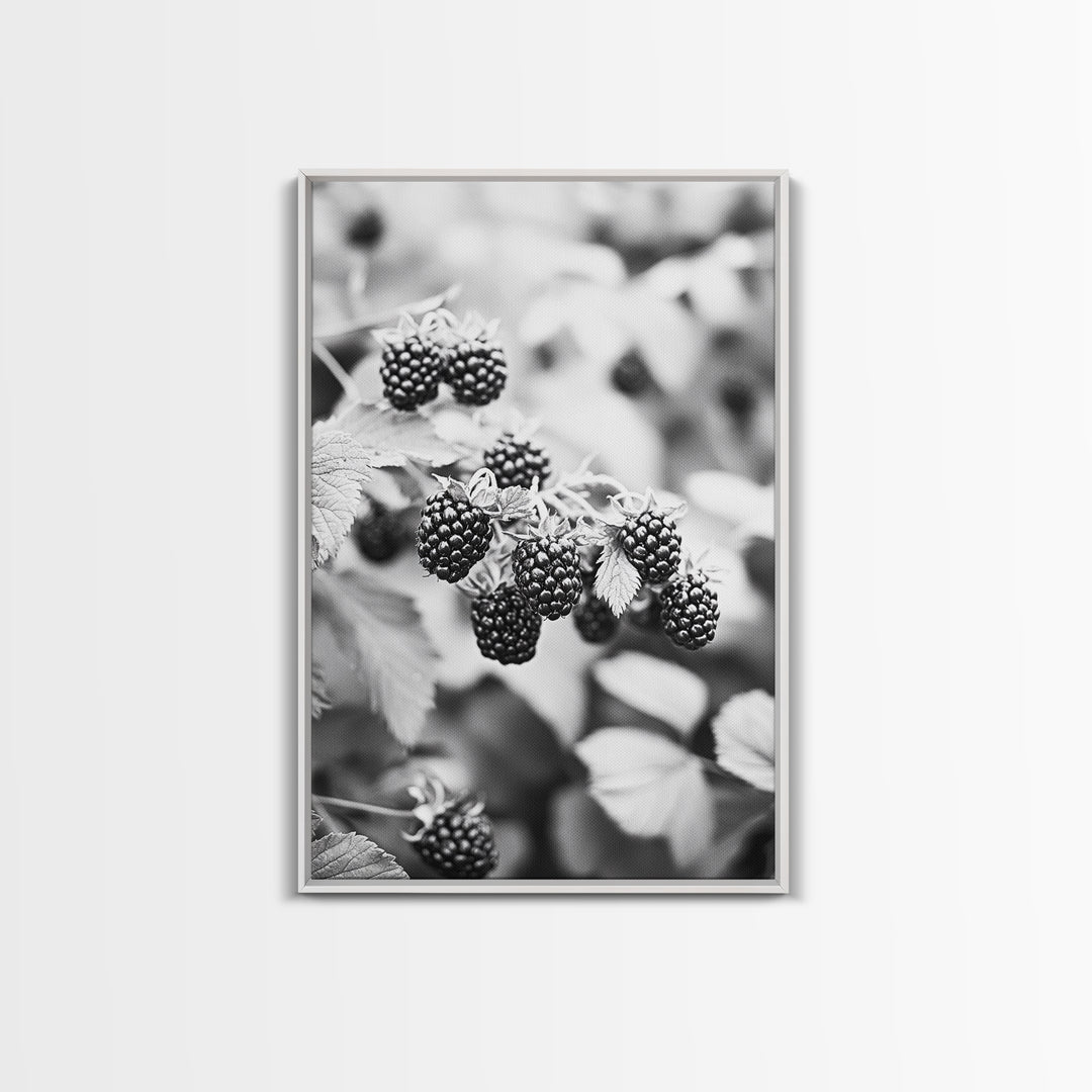 Blackberries in Bloom, Ripe Fruit Closeup, Garden Harvest, Natural Beauty, Framed Canvas Print, Farmhouse Kitchen Art, Fall Decor