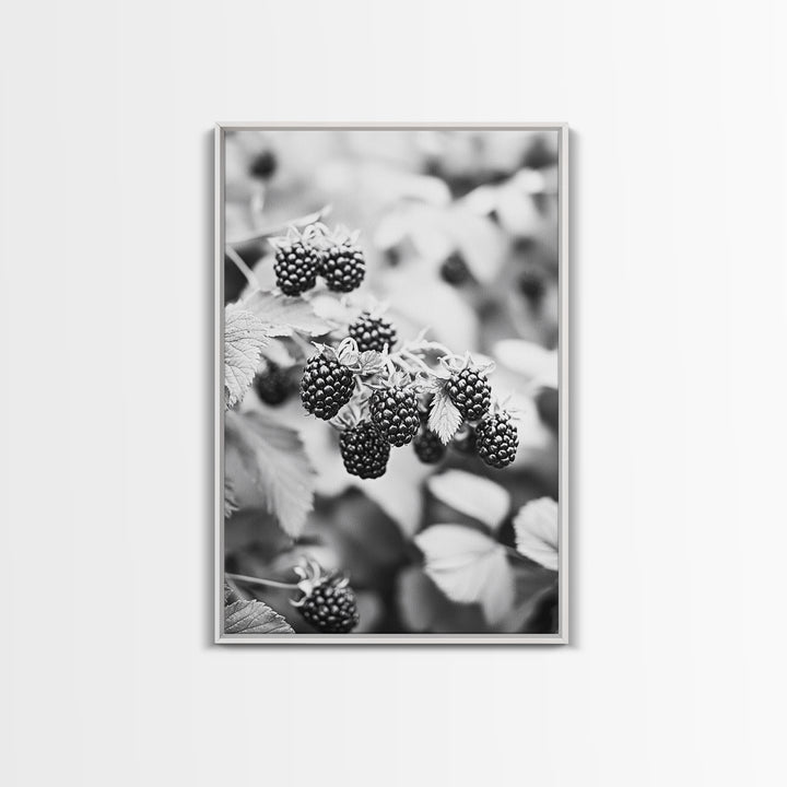 Blackberries in Bloom, Ripe Fruit Closeup, Garden Harvest, Natural Beauty, Framed Canvas Print, Farmhouse Kitchen Art, Fall Decor