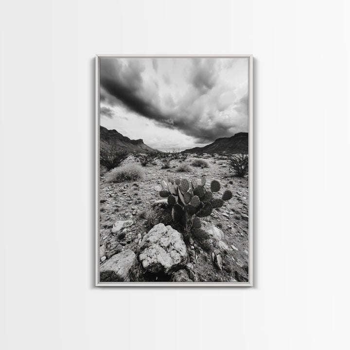 Desert Storm, Cactus Scene, Black White Art, Canvas Print, Southwest Wall Art, Earthy Tones Decor, Boho Style, Entryway Wall Accent