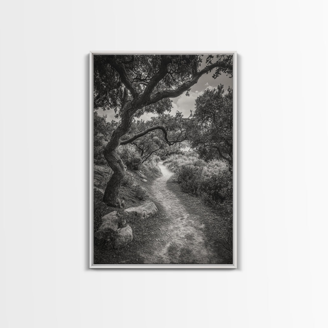 Forest Path, Twisting Trees, Nature Trail Scene, Framed Canvas Print, Earthy Wall Art, Boho Woodland Decor, Entryway or Hallway Accent