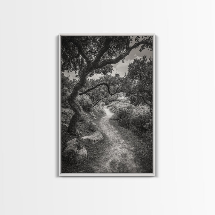 Forest Path, Twisting Trees, Nature Trail Scene, Framed Canvas Print, Earthy Wall Art, Boho Woodland Decor, Entryway or Hallway Accent