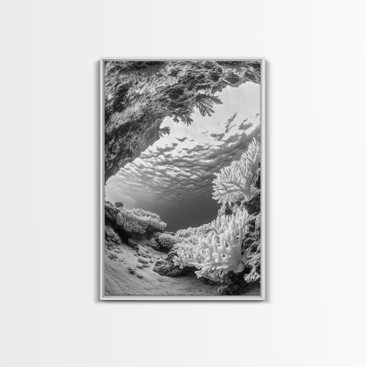 Coral Reef Underwater, Ocean Photography, Marine Nature Scene, Framed Canvas Print, Bathroom Wall Art, Coastal Minimalist Decor
