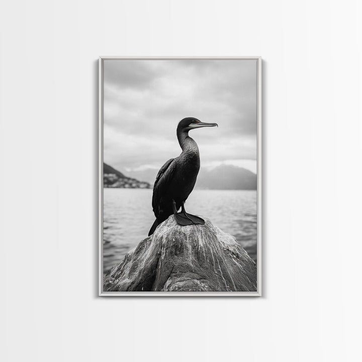 Coastal Bird Portrait, Nature Minimalism, Lake Decor, Monochrome Wildlife, Framed Canvas Print, Bedroom Wall Art, Bird Photography Print