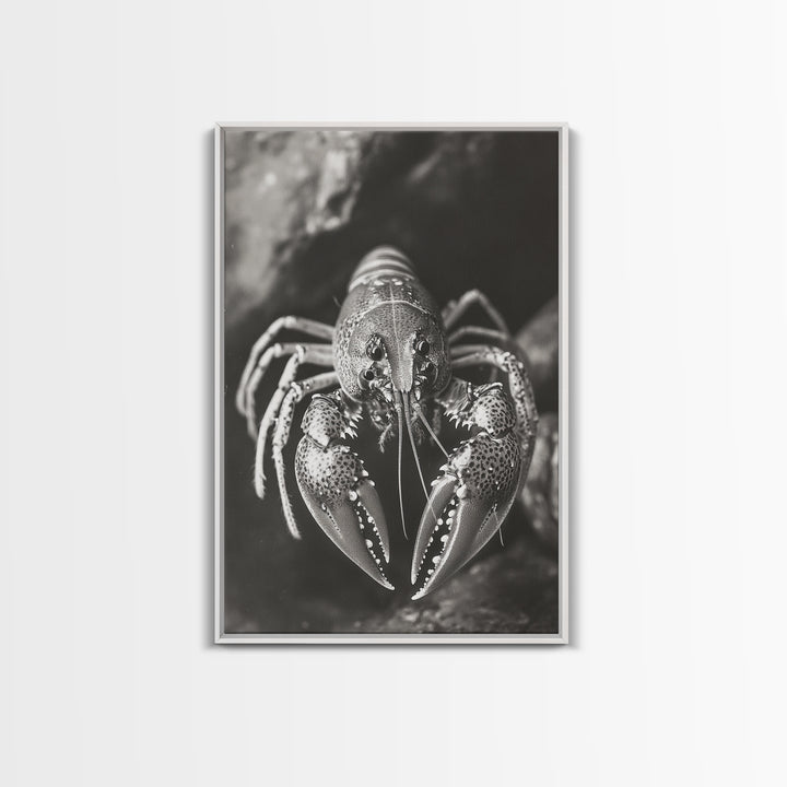 Lobster Close Up, Marine Life Art, Coastal Kitchen Decor, Monochrome Sea Animal, Framed Canvas Print, Ocean Wall Art, Nautical Print