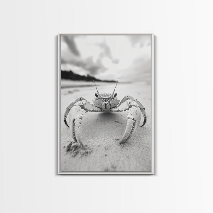 Beach Crab Portrait, Closeup Ocean Art, Tropical Minimalism, Coastal Creature Photo, Framed Canvas Print, Bathroom Wall Decor, Marine Decor