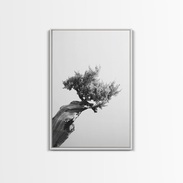Bonsai Tree, Windswept Wood, Minimal Zen, Canvas Print, Japanese Style Art, Wabi Sabi Decor, Monochrome Botanical Wall Accent
