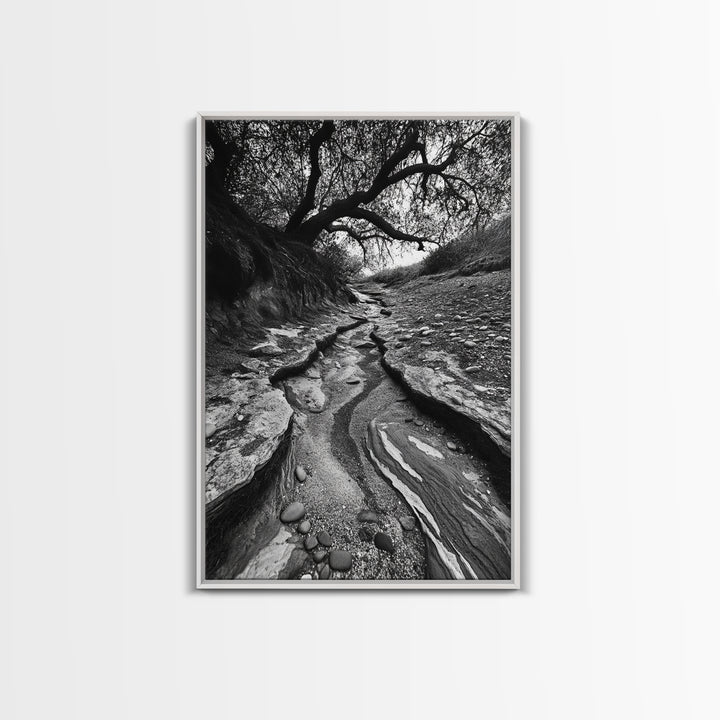 Dry Creek, Twisted Tree, Rocky Path, Framed Canvas Print, Moody Autumn Wall Art, Earthy Entryway Decor, Nature Texture Photography