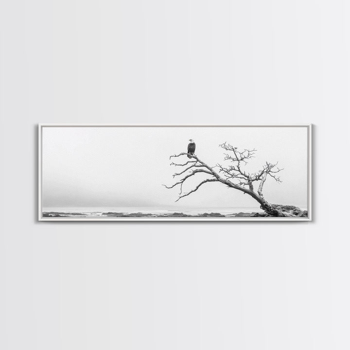 Bald Eagle, Tree Perch, Foggy Coast, Framed Canvas Print, Wildlife Photography, Cabin Wall Art, Rustic Minimalist Decor