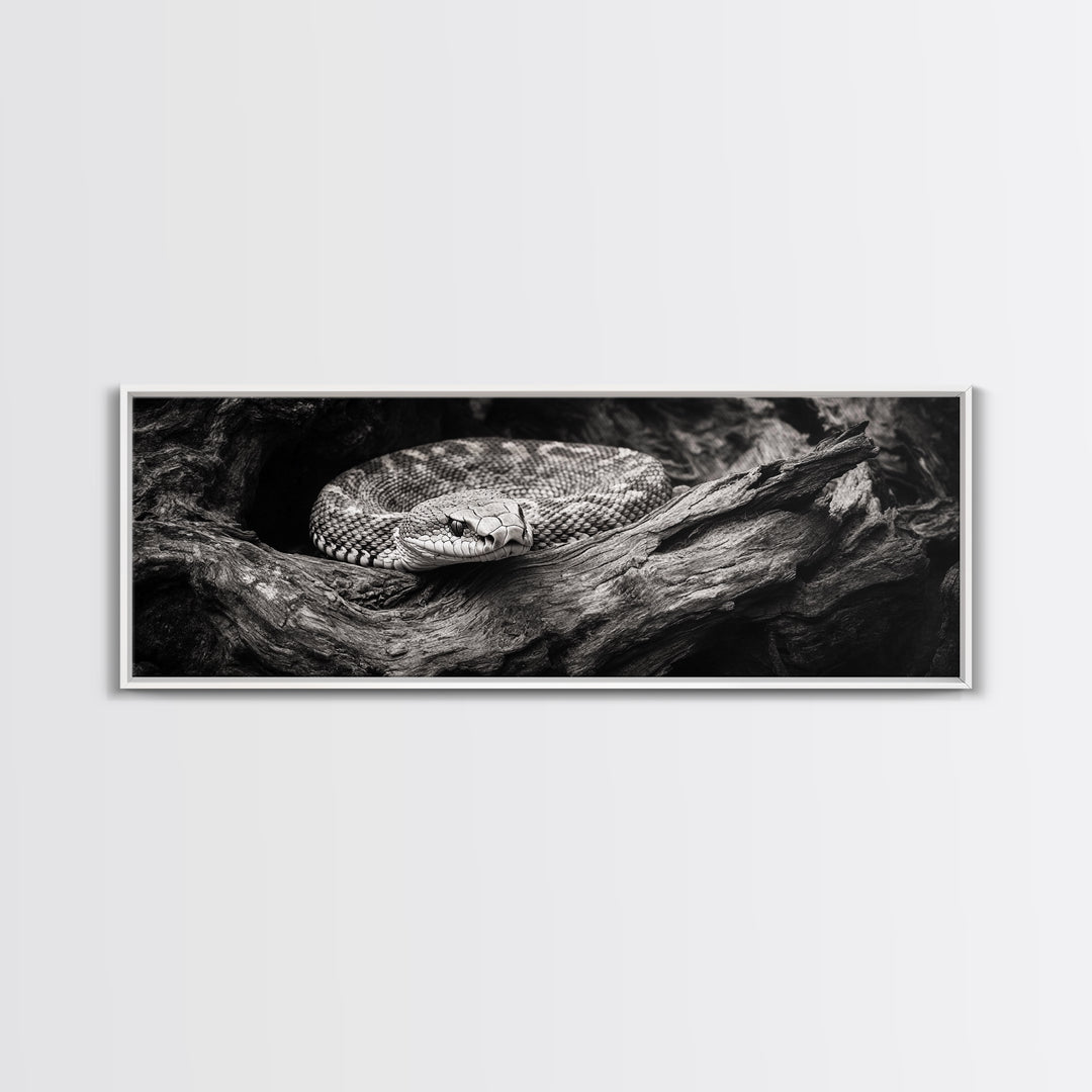 Coiled Rattlesnake, Wild Nature, Black and White, Canvas Print, Rustic Decor, Man Cave Wall Art, Cabin Style, Animal Photography, Moody Art