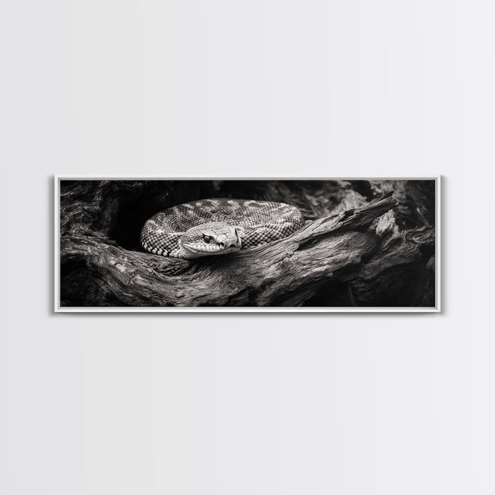 Coiled Rattlesnake, Wild Nature, Black and White, Canvas Print, Rustic Decor, Man Cave Wall Art, Cabin Style, Animal Photography, Moody Art