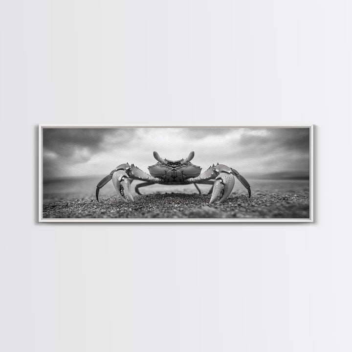 Closeup Crab, Coastal Creature, Dramatic Sand, Framed Canvas Print, Beach Wall Art, Nautical Bathroom Decor, Ocean Nature Photo