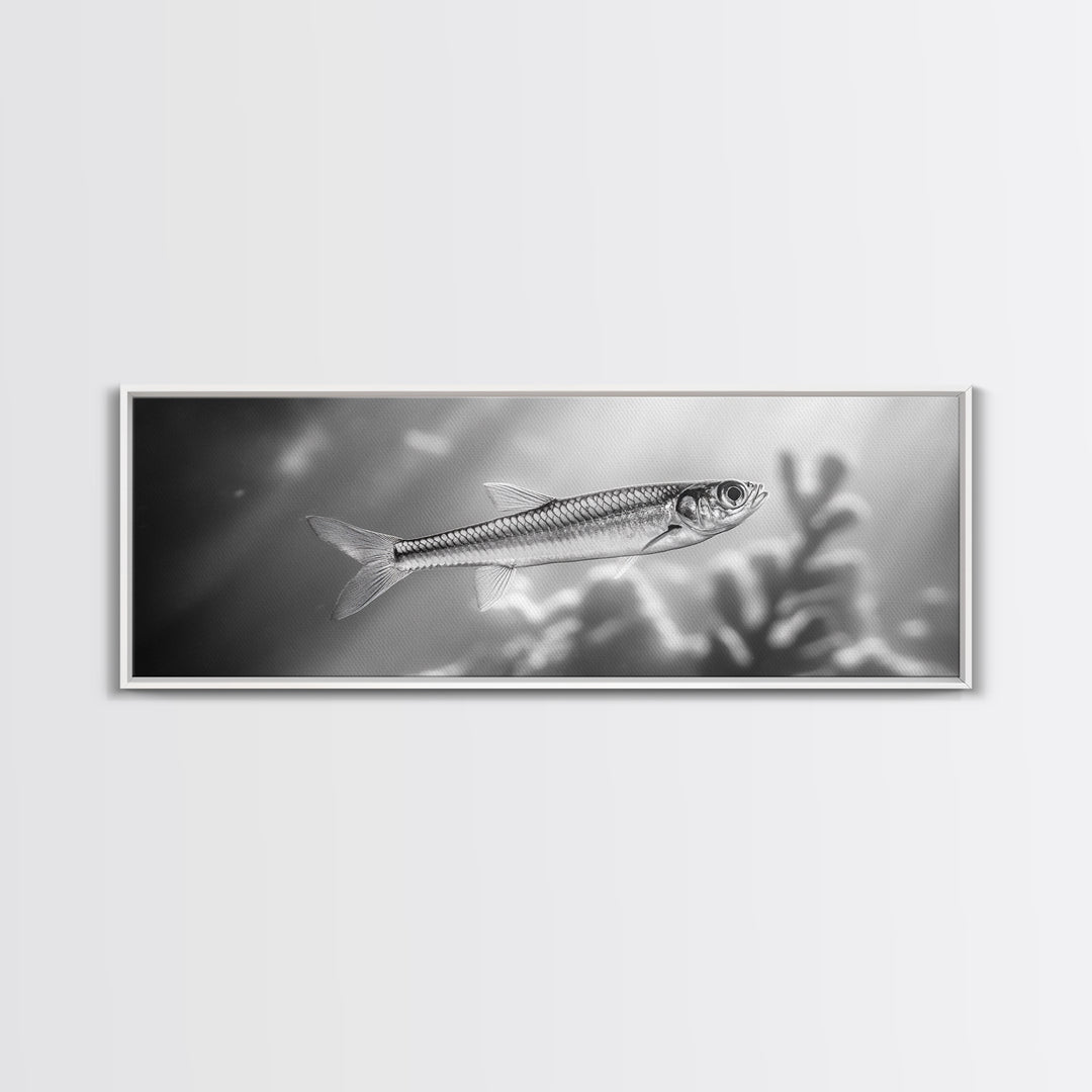 Silver Fish Closeup, Underwater Life, Marine Wildlife Art, Black and White Framed Canvas Print, Coastal Bathroom or Den Wall Art