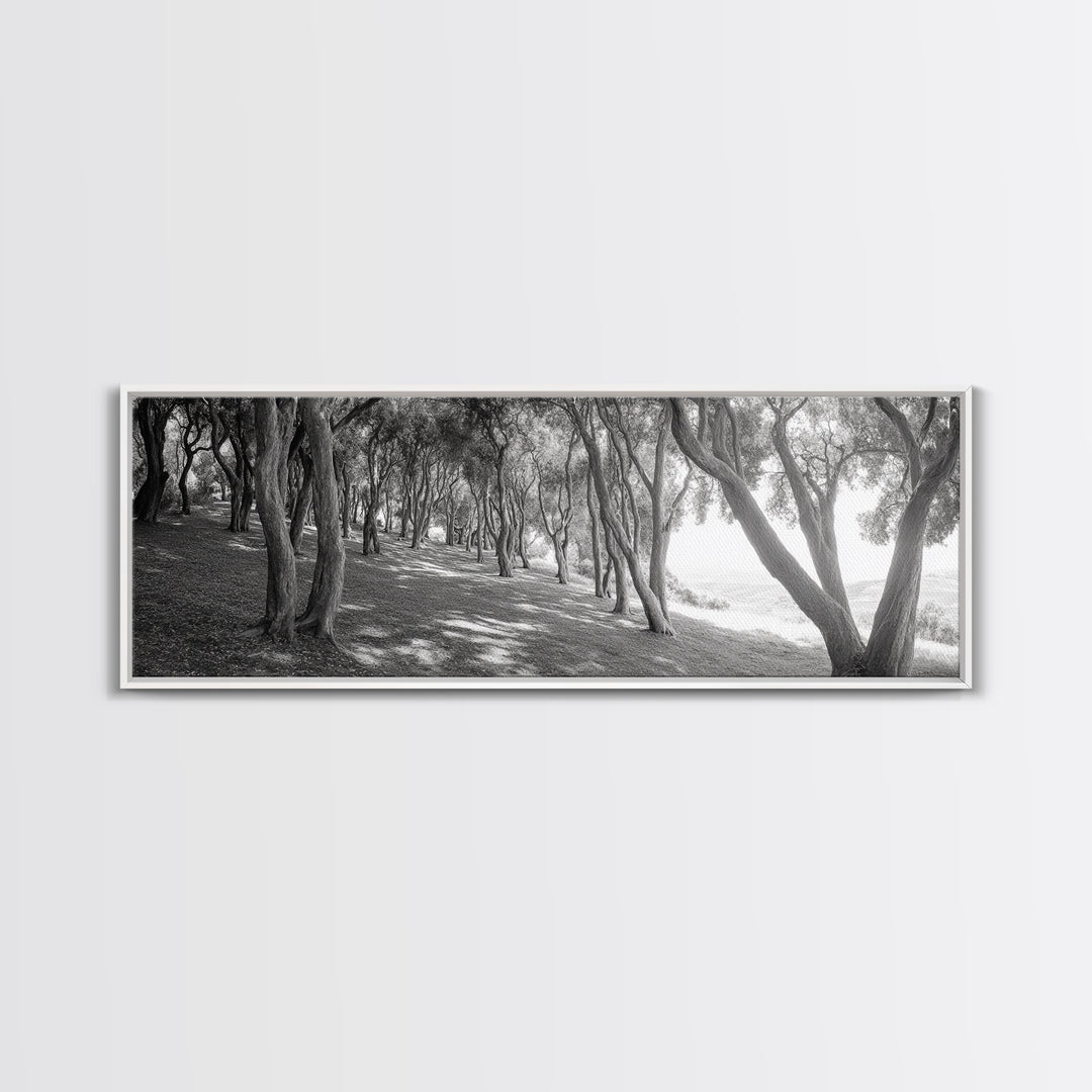 Forest Path, Tree Tunnel, Light Shadows, Woodland Magic, Framed Canvas Print, Nature Lover Gift, Entryway Wall Art, Modern Rustic Style
