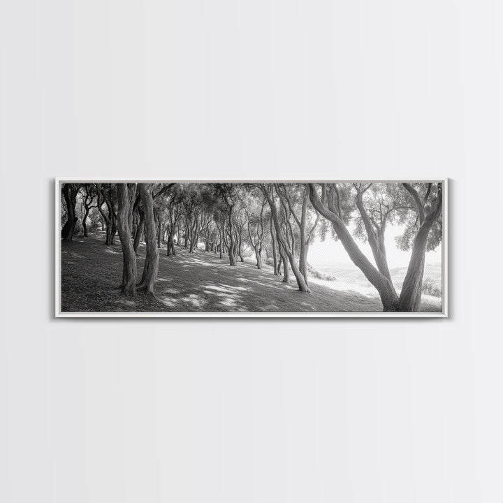 Forest Path, Tree Tunnel, Light Shadows, Woodland Magic, Framed Canvas Print, Nature Lover Gift, Entryway Wall Art, Modern Rustic Style