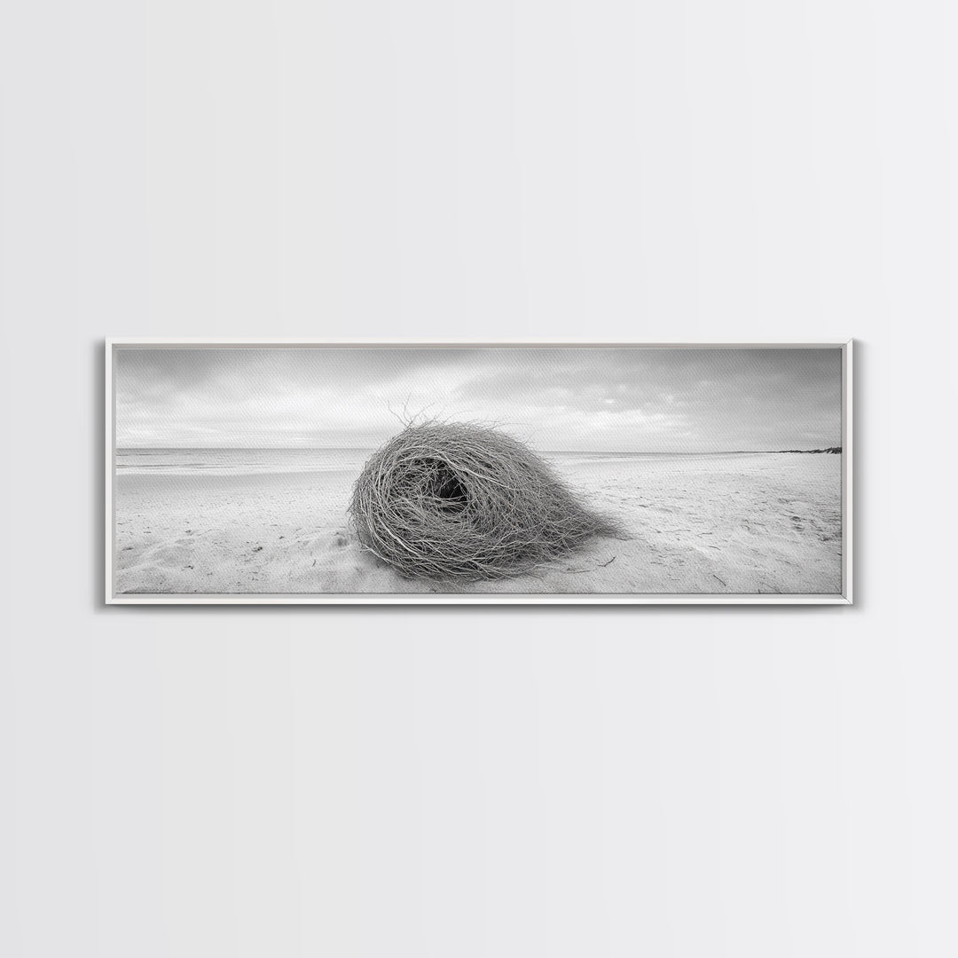 Tumbleweed Nest, Desert Beach, Natural Sculpture, Coastal Simplicity, Canvas Print, Modern Boho Wall Art, Neutral Home Aesthetic