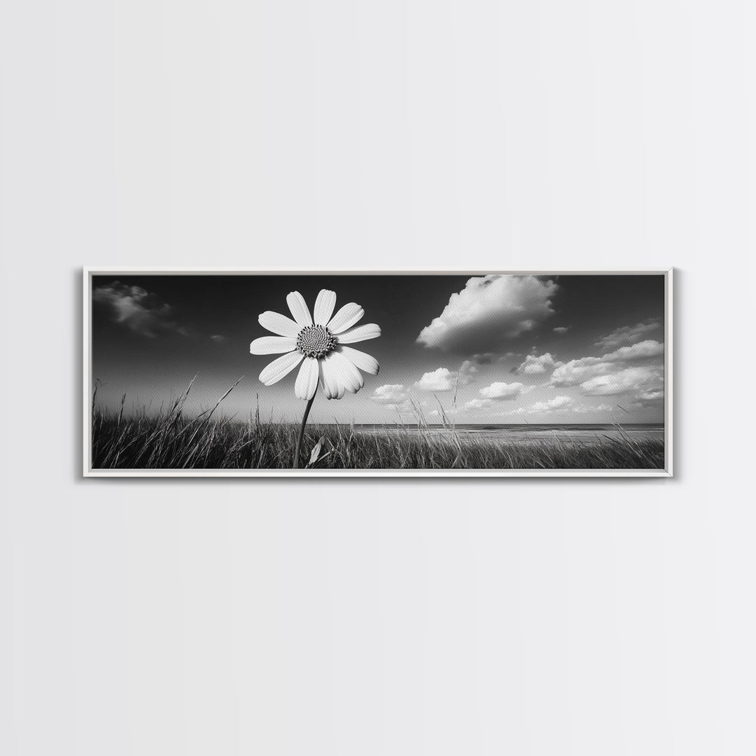 Daisy Flower, Single Bloom, Coastal Breeze, Minimal Wall Decor, Framed Canvas Print, Boho Bedroom Art, Nature Inspired Photography