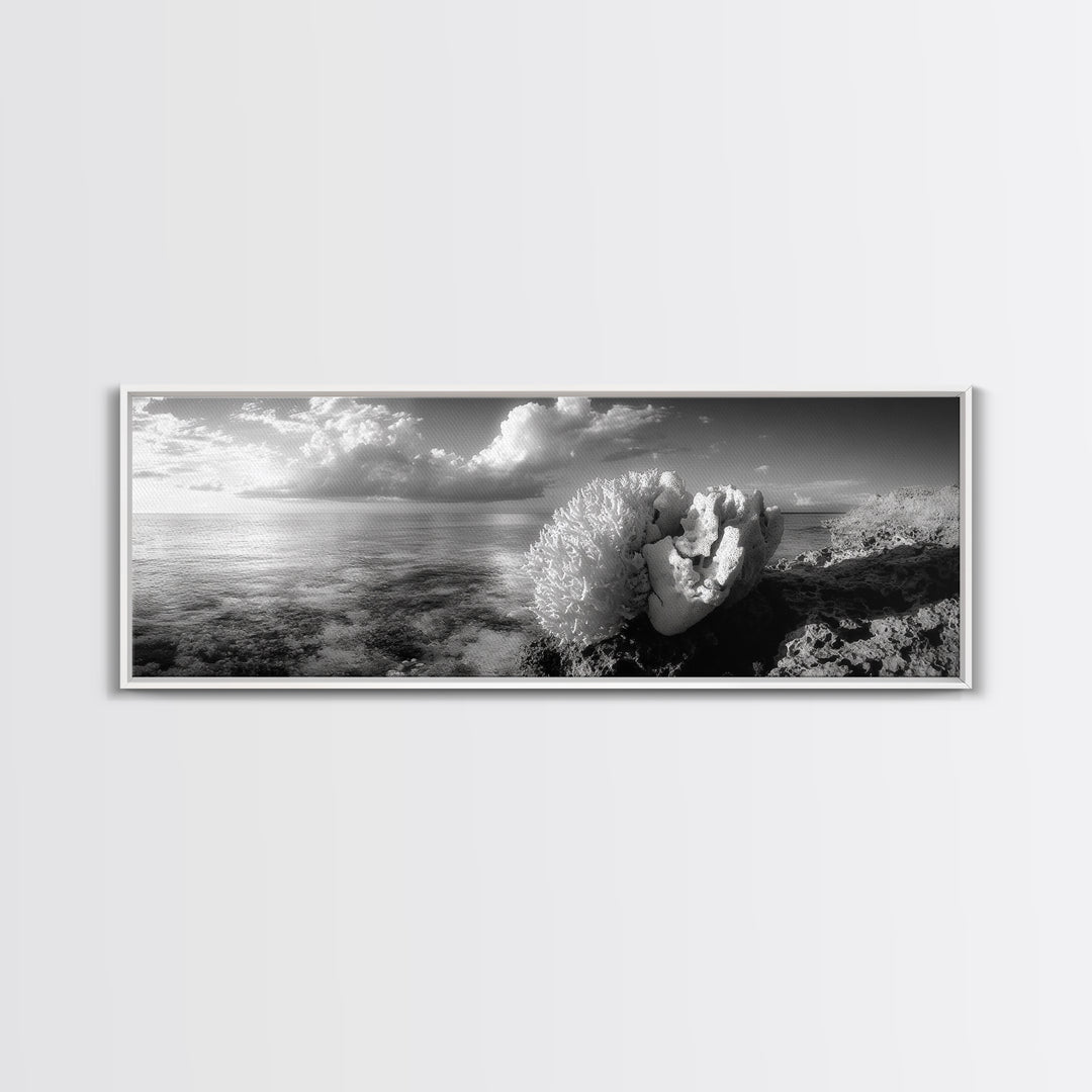 Sea Coral, Calm Ocean, Reef Textures, Framed Canvas Print, Coastal Bathroom Art, Monochrome Ocean Decor, Nature Photography Accent
