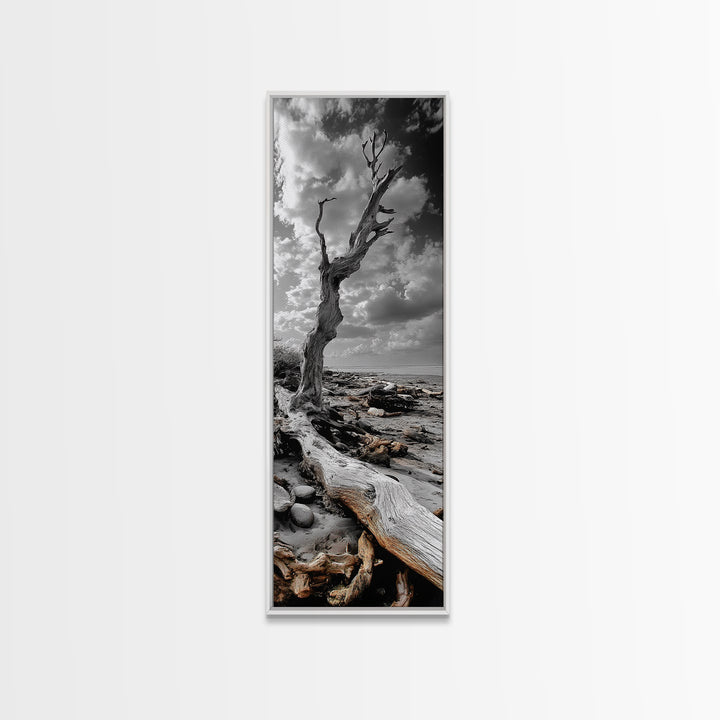 Weathered Tree, Coastal Roots, Dramatic Sky, Natural Form – Canvas Print, Living Room Wall Art, Monochrome Photography, Driftwood Decor