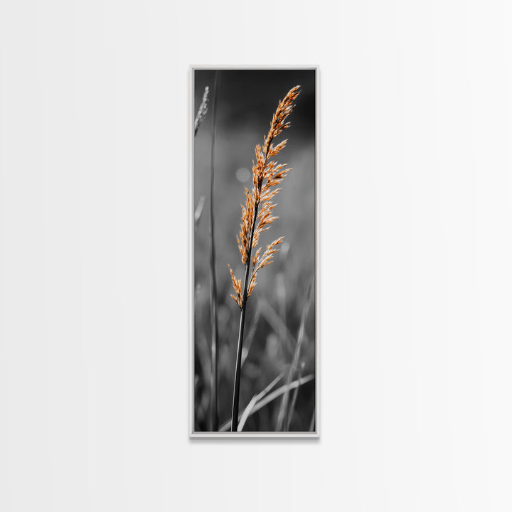 Autumn Grass, Botanical Print, Nature Photography, Single Stem, Canvas Print, Fall Wall Art, Neutral Home Decor, Minimalist Living Room Art