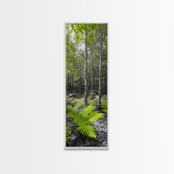 Birch Tree Forest, Green Ferns, Nature Escape, Framed Canvas Print, Botanical Art, Eco Wall Decor, Zen Forest Scene, Serene Living Room