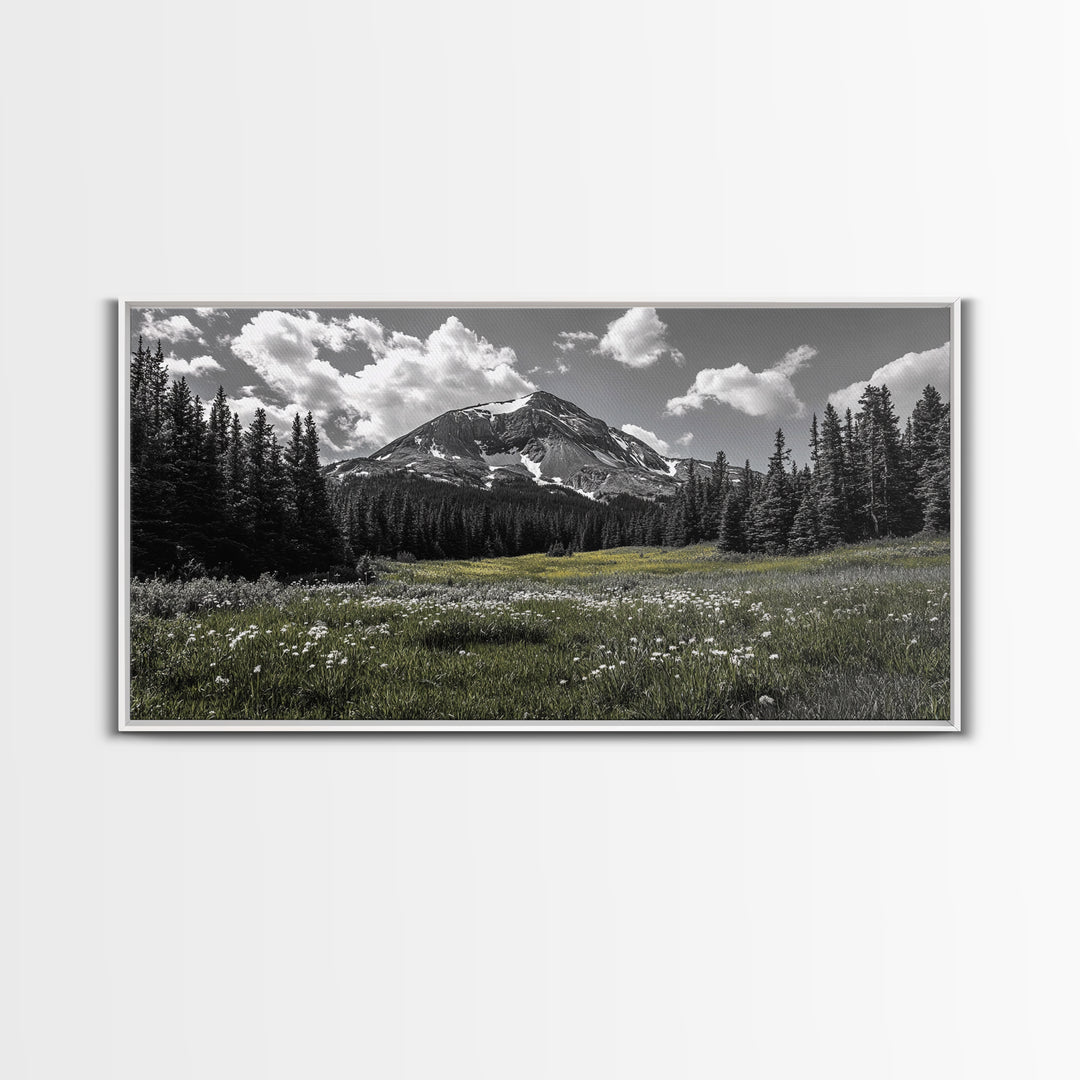 Mountain, Meadow, Wildflowers, Alpine meadow bloom and majestic peak on this Framed Canvas Print, serene Nature Wall Art for Entryway
