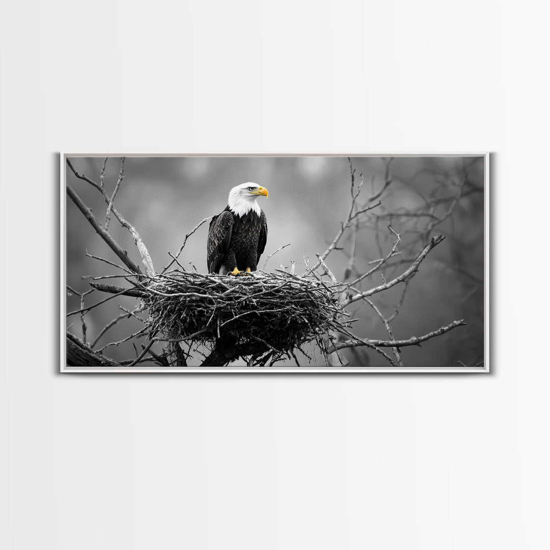 Bald Eagle, Monochrome Nature, Wildlife Photography, Fierce Majesty, Framed Canvas Print, Office Wall Art, Black White Bold Bird Scene