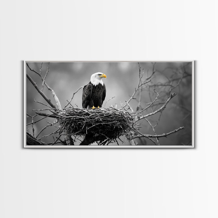 Bald Eagle, Monochrome Nature, Wildlife Photography, Fierce Majesty, Framed Canvas Print, Office Wall Art, Black White Bold Bird Scene