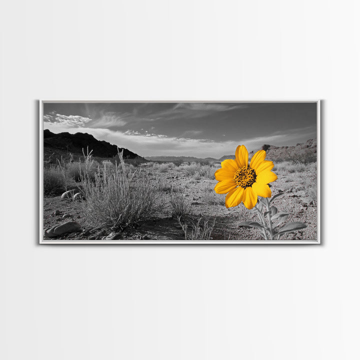 Yellow Flower, Desert Bloom, Monochrome Landscape, Canvas Print, Botanical Wall Art, Minimalist Nature Decor, Modern Kitchen Accent
