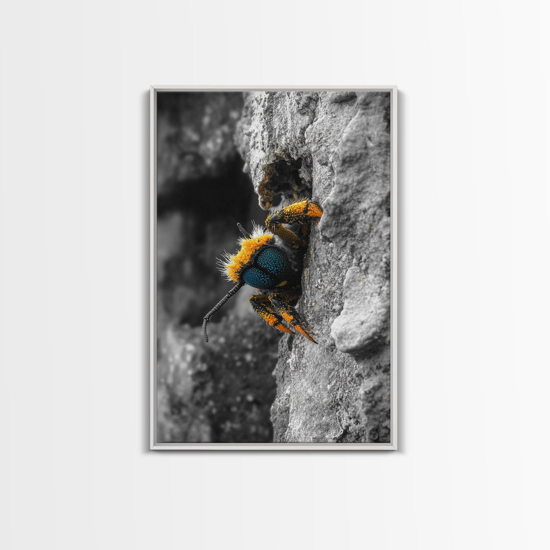 Fuzzy Bee Closeup, Insect Macro, Nature Texture, Framed Canvas Print, Wildlife Wall Art, Entomology Decor, Nature Photography